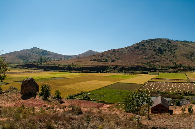 decouverte de madagascar